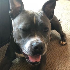 Meet your Posher, Amber